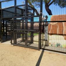 New lion enclosure construction moorpark ca (9)